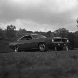 plymouth_hemicuda_rouge.jpg